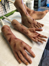 Laden Sie das Bild in den Galerie-Viewer, Set of Regan limbs