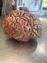 Charger l'image dans la galerie, Silicone brain