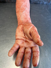 Cargar imagen en el visor de la galería, Severed  male right arm