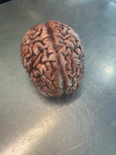 Charger l'image dans la galerie, Silicone brain