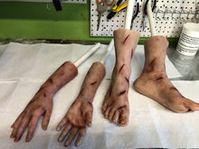 Laden Sie das Bild in den Galerie-Viewer, Set of Regan limbs