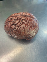 Charger l'image dans la galerie, Silicone brain