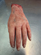 Load image into Gallery viewer, Female severed hand