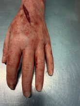 Load image into Gallery viewer, Female severed arm