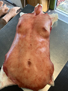 Female skinned torso