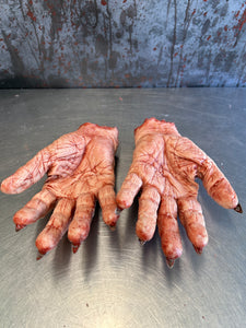 Pair of Severed Witch hands