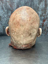 Load image into Gallery viewer, Severed Head Adam “ rigor mortis”