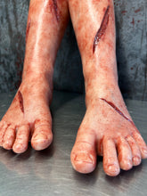 Laden Sie das Bild in den Galerie-Viewer, Pair of severed  Legs