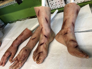 Set of Regan limbs