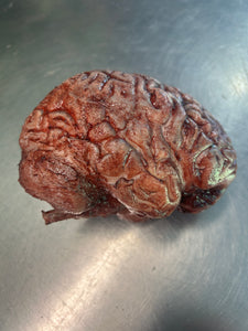 Silicone brain
