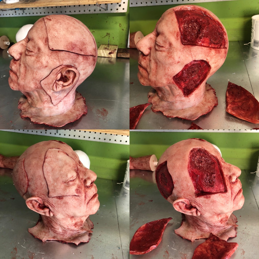 Severed head with magnetics